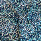 Fabric Swatch - Goddess Glam Custom Competition Suits